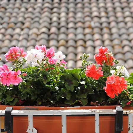Bed & Breakfast Casa Nipitella 2*